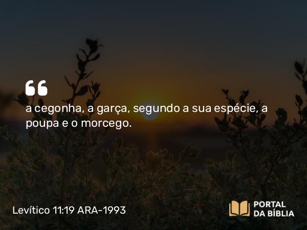 Levítico 11:19 ARA-1993 - a cegonha, a garça, segundo a sua espécie, a poupa e o morcego.