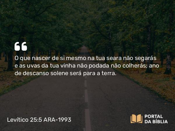 Levítico 25:5 ARA-1993 - O que nascer de si mesmo na tua seara não segarás e as uvas da tua vinha não podada não colherás; ano de descanso solene será para a terra.