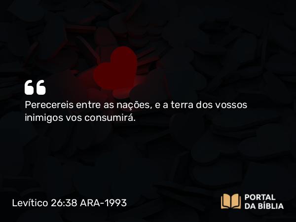 Levítico 26:38 ARA-1993 - Perecereis entre as nações, e a terra dos vossos inimigos vos consumirá.