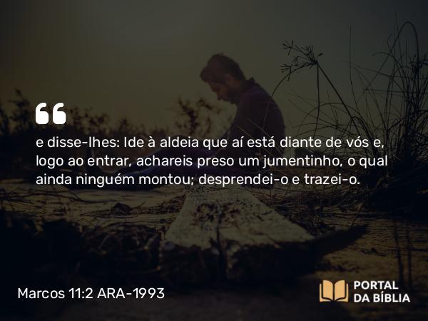 Marcos 11:2 ARA-1993 - e disse-lhes: Ide à aldeia que aí está diante de vós e, logo ao entrar, achareis preso um jumentinho, o qual ainda ninguém montou; desprendei-o e trazei-o.