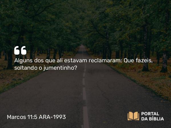 Marcos 11:5 ARA-1993 - Alguns dos que ali estavam reclamaram: Que fazeis, soltando o jumentinho?