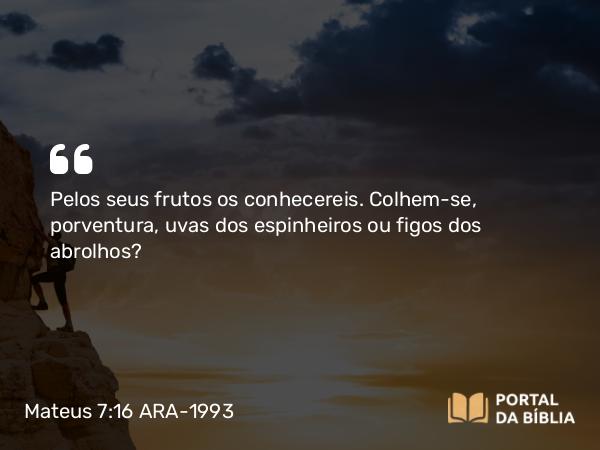 Mateus 7:16 ARA-1993 - Pelos seus frutos os conhecereis. Colhem-se, porventura, uvas dos espinheiros ou figos dos abrolhos?