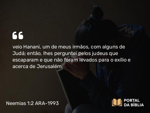 Neemias 1:2 ARA-1993 - veio Hanani, um de meus irmãos, com alguns de Judá; então, lhes perguntei pelos judeus que escaparam e que não foram levados para o exílio e acerca de Jerusalém.