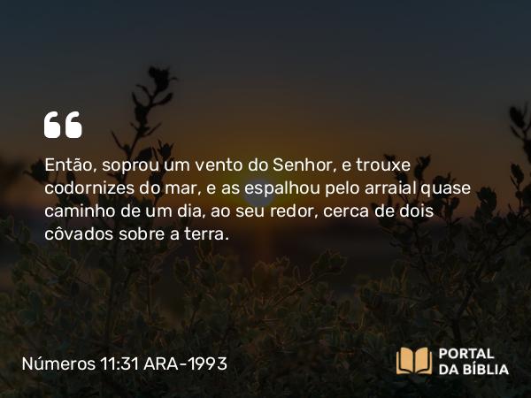 Números 11:31 ARA-1993 - Então, soprou um vento do Senhor, e trouxe codornizes do mar, e as espalhou pelo arraial quase caminho de um dia, ao seu redor, cerca de dois côvados sobre a terra.