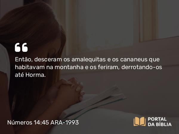 Números 14:45 ARA-1993 - Então, desceram os amalequitas e os cananeus que habitavam na montanha e os feriram, derrotando-os até Horma.