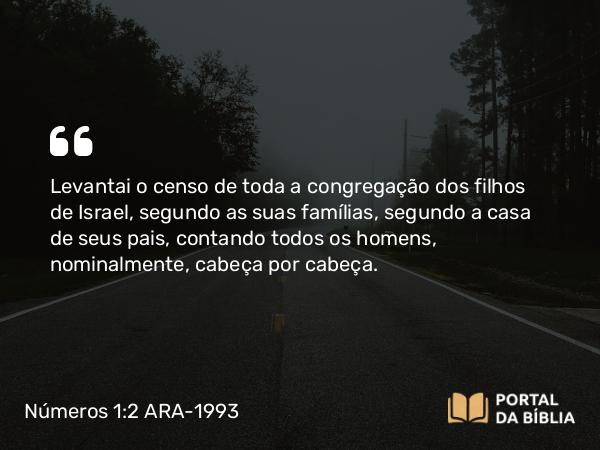 Números 1:2-3 ARA-1993 - Levantai o censo de toda a congregação dos filhos de Israel, segundo as suas famílias, segundo a casa de seus pais, contando todos os homens, nominalmente, cabeça por cabeça.