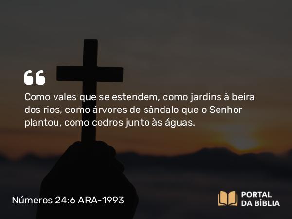 Números 24:6 ARA-1993 - Como vales que se estendem, como jardins à beira dos rios, como árvores de sândalo que o Senhor plantou, como cedros junto às águas.