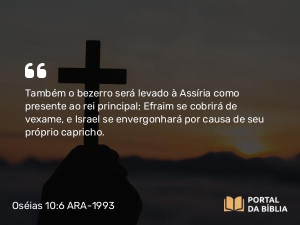 Oséias 10:6 ARA-1993 - Também o bezerro será levado à Assíria como presente ao rei principal; Efraim se cobrirá de vexame, e Israel se envergonhará por causa de seu próprio capricho.