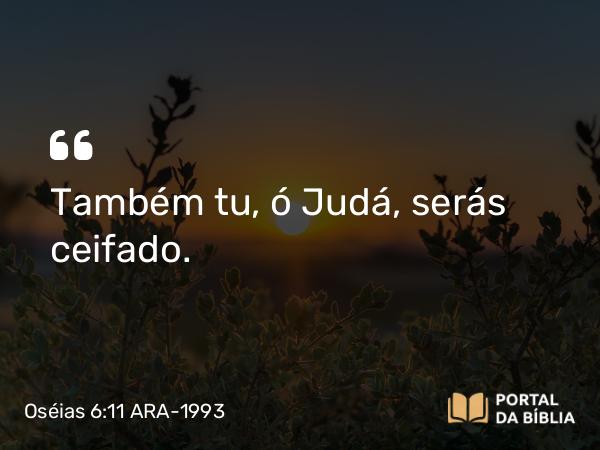 Oséias 6:11 ARA-1993 - Também tu, ó Judá, serás ceifado.