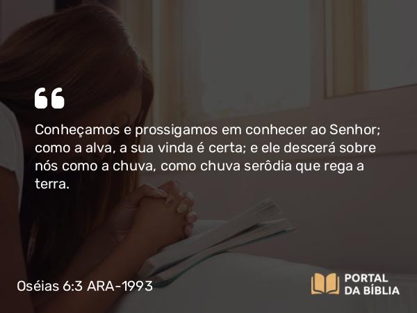 Oséias 6:3 ARA-1993 - Conheçamos e prossigamos em conhecer ao Senhor; como a alva, a sua vinda é certa; e ele descerá sobre nós como a chuva, como chuva serôdia que rega a terra.