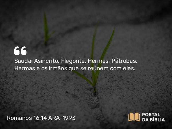 Romanos 16:14 ARA-1993 - Saudai Asíncrito, Flegonte, Hermes, Pátrobas, Hermas e os irmãos que se reúnem com eles.