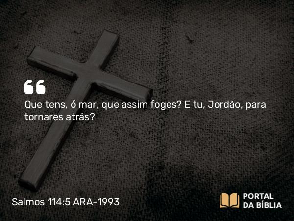 Salmos 114:5 ARA-1993 - Que tens, ó mar, que assim foges? E tu, Jordão, para tornares atrás?