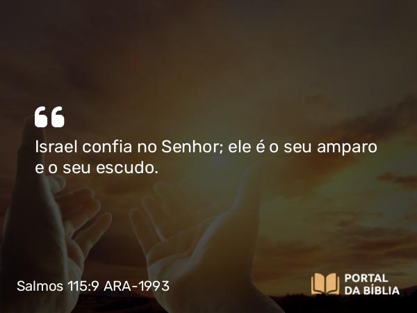 Salmos 115:9 ARA-1993 - Israel confia no Senhor; ele é o seu amparo e o seu escudo.