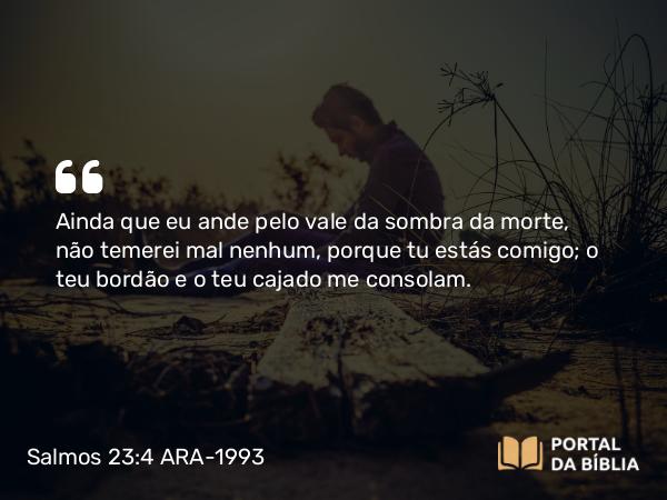 Salmos 23:4 ARA-1993 - Ainda que eu ande pelo vale da sombra da morte, não temerei mal nenhum, porque tu estás comigo; o teu bordão e o teu cajado me consolam.