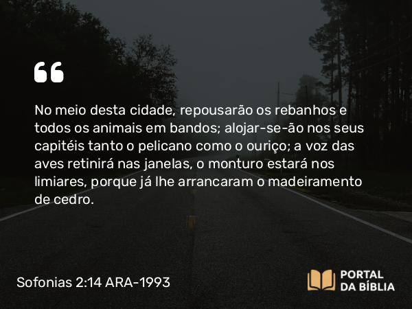 Sofonias 2:14-15 ARA-1993 - No meio desta cidade, repousarão os rebanhos e todos os animais em bandos; alojar-se-ão nos seus capitéis tanto o pelicano como o ouriço; a voz das aves retinirá nas janelas, o monturo estará nos limiares, porque já lhe arrancaram o madeiramento de cedro.