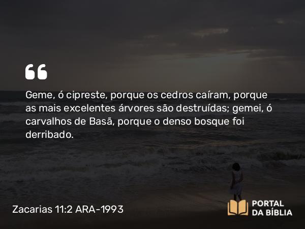 Zacarias 11:2 ARA-1993 - Geme, ó cipreste, porque os cedros caíram, porque as mais excelentes árvores são destruídas; gemei, ó carvalhos de Basã, porque o denso bosque foi derribado.