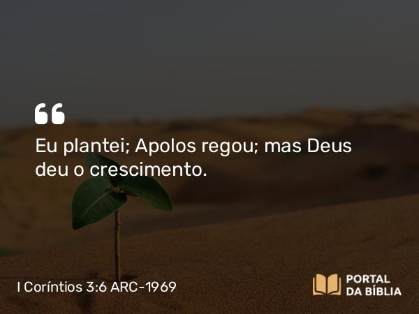 I Coríntios 3:6 ARC-1969 - Eu plantei; Apolos regou; mas Deus deu o crescimento.