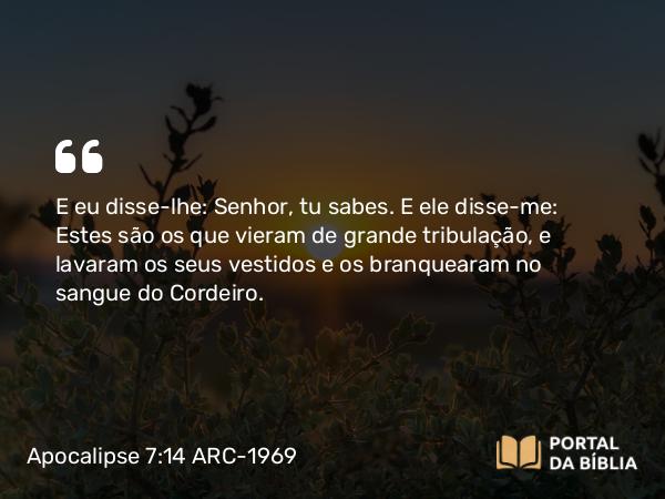 Apocalipse 7:14 ARC-1969 - E eu disse-lhe: Senhor, tu sabes. E ele disse-me: Estes são os que vieram de grande tribulação, e lavaram os seus vestidos e os branquearam no sangue do Cordeiro.