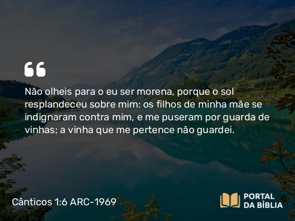 Cânticos 1:6 ARC-1969 - Não olheis para o eu ser morena, porque o sol resplandeceu sobre mim: os filhos de minha mãe se indignaram contra mim, e me puseram por guarda de vinhas; a vinha que me pertence não guardei.