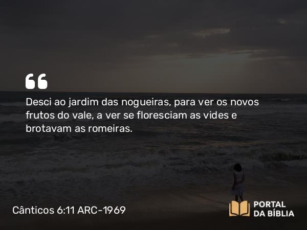 Cânticos 6:11 ARC-1969 - Desci ao jardim das nogueiras, para ver os novos frutos do vale, a ver se floresciam as vides e brotavam as romeiras.