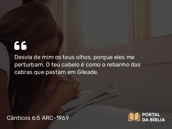 Cânticos 6:5 ARC-1969 - Desvia de mim os teus olhos, porque eles me perturbam. O teu cabelo é como o rebanho das cabras que pastam em Gileade.