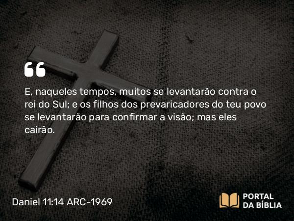 Daniel 11:14 ARC-1969 - E, naqueles tempos, muitos se levantarão contra o rei do Sul; e os filhos dos prevaricadores do teu povo se levantarão para confirmar a visão; mas eles cairão.