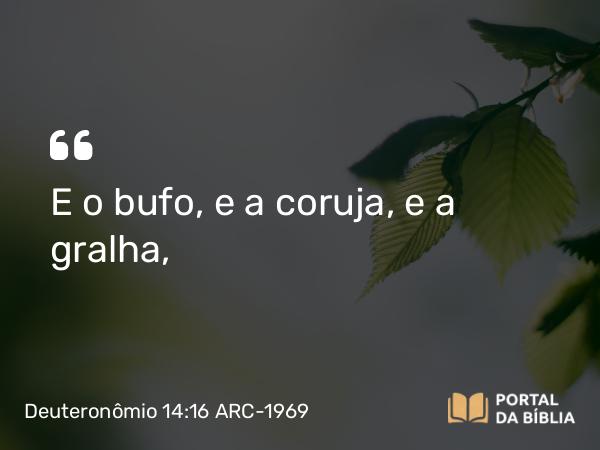 Deuteronômio 14:16 ARC-1969 - E o bufo, e a coruja, e a gralha,