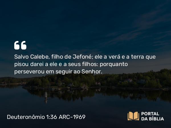 Deuteronômio 1:36 ARC-1969 - Salvo Calebe, filho de Jefoné; ele a verá e a terra que pisou darei a ele e a seus filhos: porquanto perseverou em seguir ao Senhor.