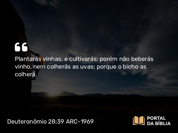 Deuteronômio 28:39 ARC-1969 - Plantarás vinhas, e cultivarás; porém não beberás vinho, nem colherás as uvas; porque o bicho as colherá.