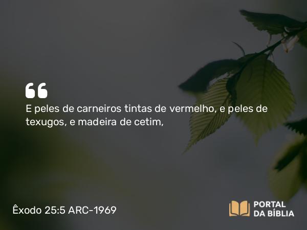 Êxodo 25:5 ARC-1969 - E peles de carneiros tintas de vermelho, e peles de texugos, e madeira de cetim,