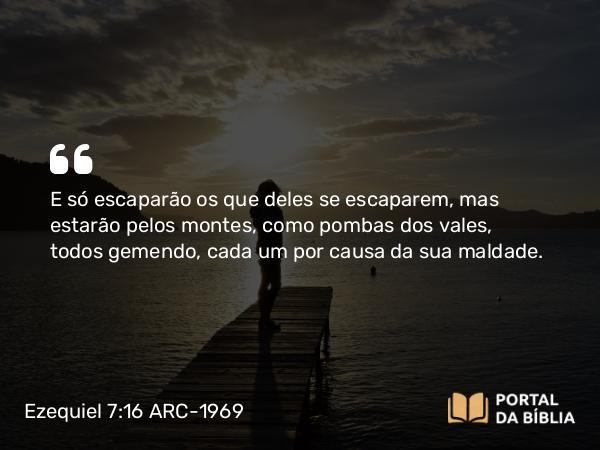 Ezequiel 7:16 ARC-1969 - E só escaparão os que deles se escaparem, mas estarão pelos montes, como pombas dos vales, todos gemendo, cada um por causa da sua maldade.