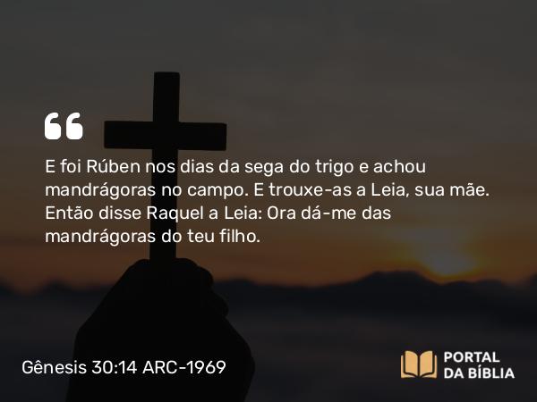 Gênesis 30:14 ARC-1969 - E foi Rúben nos dias da sega do trigo e achou mandrágoras no campo. E trouxe-as a Leia, sua mãe. Então disse Raquel a Leia: Ora dá-me das mandrágoras do teu filho.