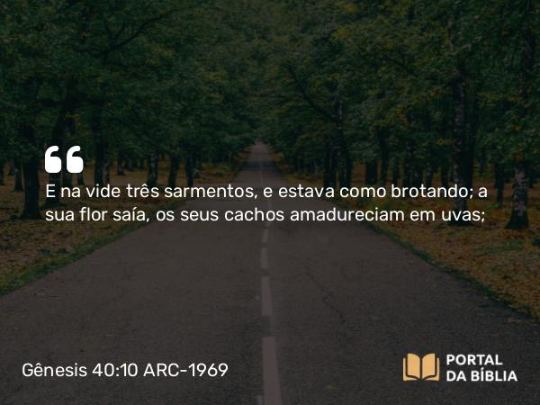 Gênesis 40:10 ARC-1969 - E na vide três sarmentos, e estava como brotando; a sua flor saía, os seus cachos amadureciam em uvas;