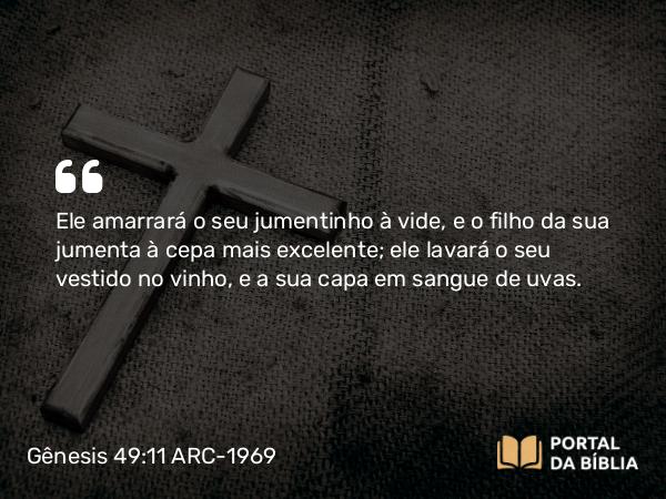 Gênesis 49:11-12 ARC-1969 - Ele amarrará o seu jumentinho à vide, e o filho da sua jumenta à cepa mais excelente; ele lavará o seu vestido no vinho, e a sua capa em sangue de uvas.