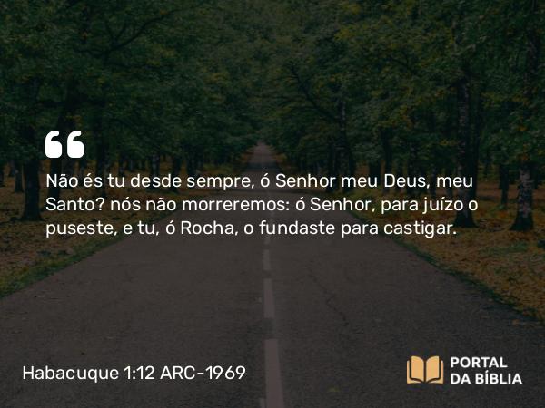 Habacuque 1:12 ARC-1969 - Não és tu desde sempre, ó Senhor meu Deus, meu Santo? nós não morreremos: ó Senhor, para juízo o puseste, e tu, ó Rocha, o fundaste para castigar.