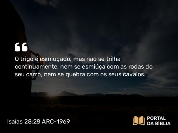 Isaías 28:28 ARC-1969 - O trigo é esmiuçado, mas não se trilha continuamente, nem se esmiúça com as rodas do seu carro, nem se quebra com os seus cavalos.