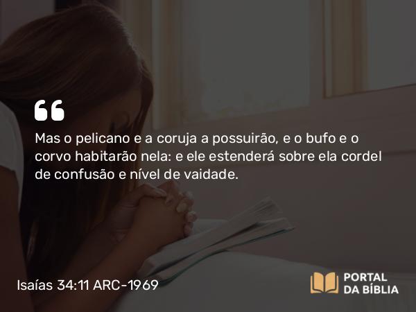 Isaías 34:11 ARC-1969 - Mas o pelicano e a coruja a possuirão, e o bufo e o corvo habitarão nela: e ele estenderá sobre ela cordel de confusão e nível de vaidade.