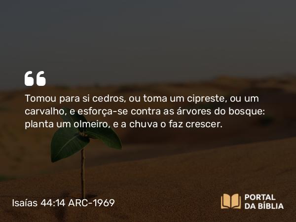 Isaías 44:14 ARC-1969 - Tomou para si cedros, ou toma um cipreste, ou um carvalho, e esforça-se contra as árvores do bosque: planta um olmeiro, e a chuva o faz crescer.