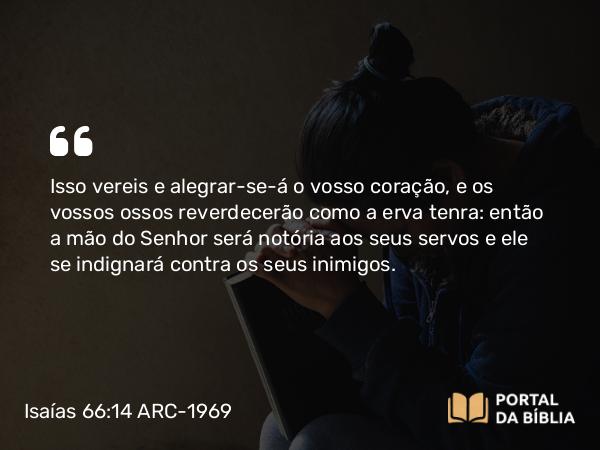 Isaías 66:14 ARC-1969 - Isso vereis e alegrar-se-á o vosso coração, e os vossos ossos reverdecerão como a erva tenra: então a mão do Senhor será notória aos seus servos e ele se indignará contra os seus inimigos.