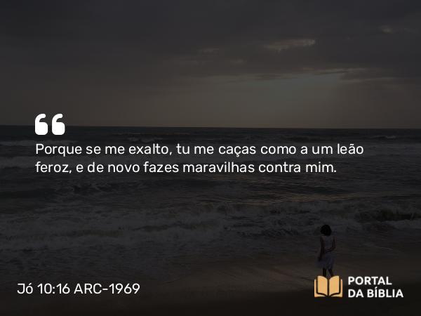 Jó 10:16 ARC-1969 - Porque se me exalto, tu me caças como a um leão feroz, e de novo fazes maravilhas contra mim.