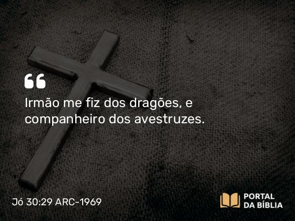 Jó 30:29 ARC-1969 - Irmão me fiz dos dragões, e companheiro dos avestruzes.