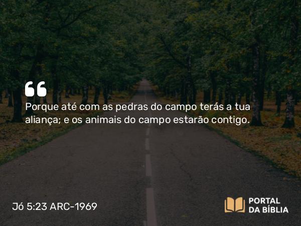 Jó 5:23 ARC-1969 - Porque até com as pedras do campo terás a tua aliança; e os animais do campo estarão contigo.