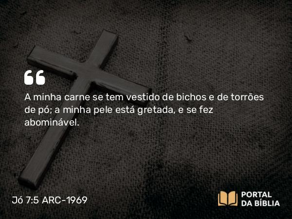 Jó 7:5 ARC-1969 - A minha carne se tem vestido de bichos e de torrões de pó; a minha pele está gretada, e se fez abominável.