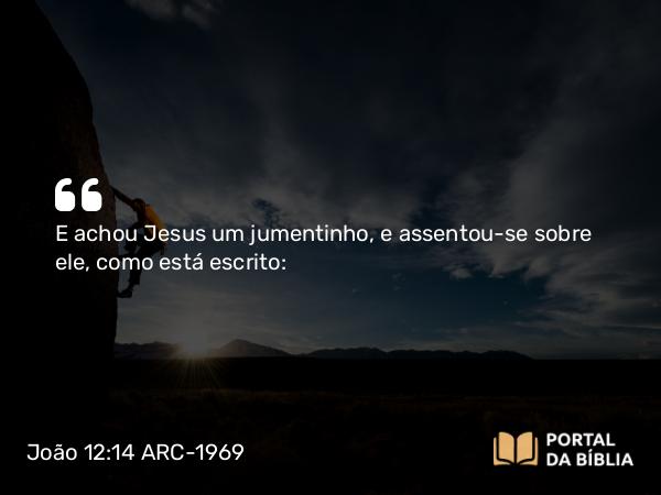 João 12:14 ARC-1969 - E achou Jesus um jumentinho, e assentou-se sobre ele, como está escrito: