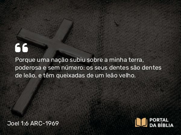 Joel 1:6 ARC-1969 - Porque uma nação subiu sobre a minha terra, poderosa e sem número: os seus dentes são dentes de leão, e têm queixadas de um leão velho.