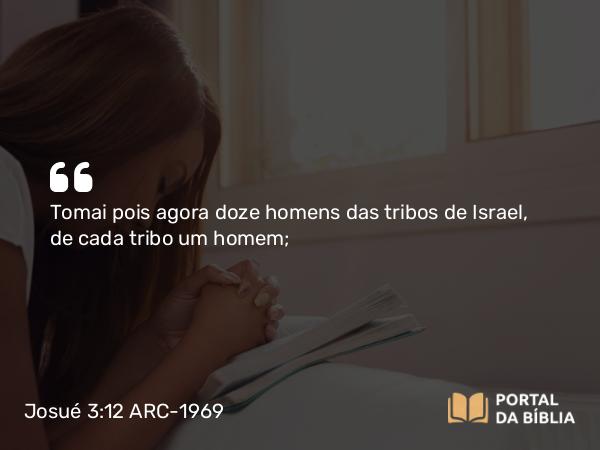 Josué 3:12 ARC-1969 - Tomai pois agora doze homens das tribos de Israel, de cada tribo um homem;