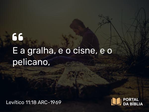 Levítico 11:18 ARC-1969 - E a gralha, e o cisne, e o pelicano,