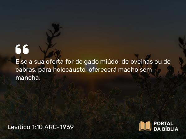 Levítico 1:10 ARC-1969 - E se a sua oferta for de gado miúdo, de ovelhas ou de cabras, para holocausto, oferecerá macho sem mancha,