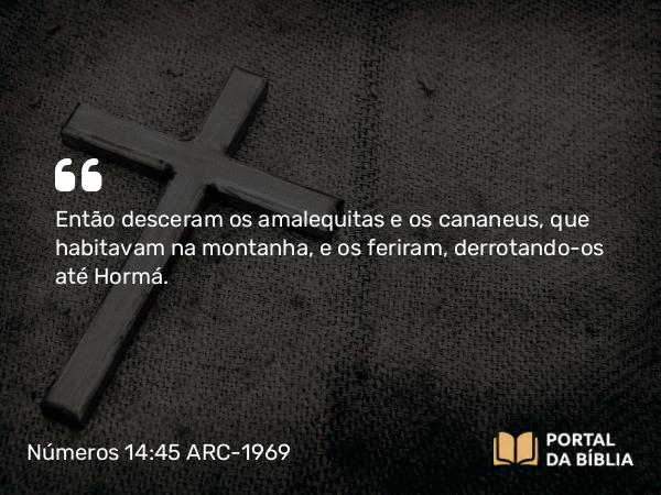 Números 14:45 ARC-1969 - Então desceram os amalequitas e os cananeus, que habitavam na montanha, e os feriram, derrotando-os até Hormá.