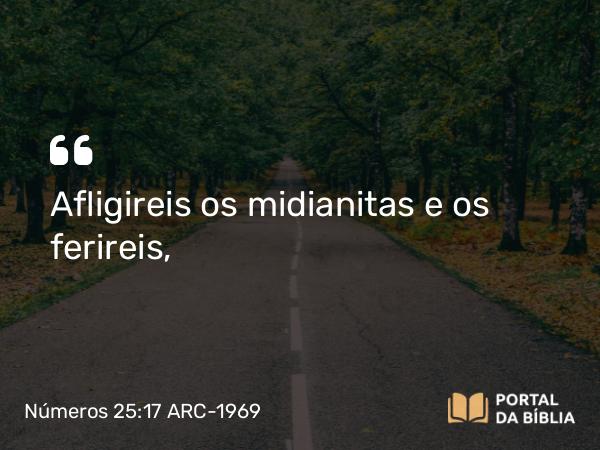 Números 25:17 ARC-1969 - Afligireis os midianitas e os ferireis,